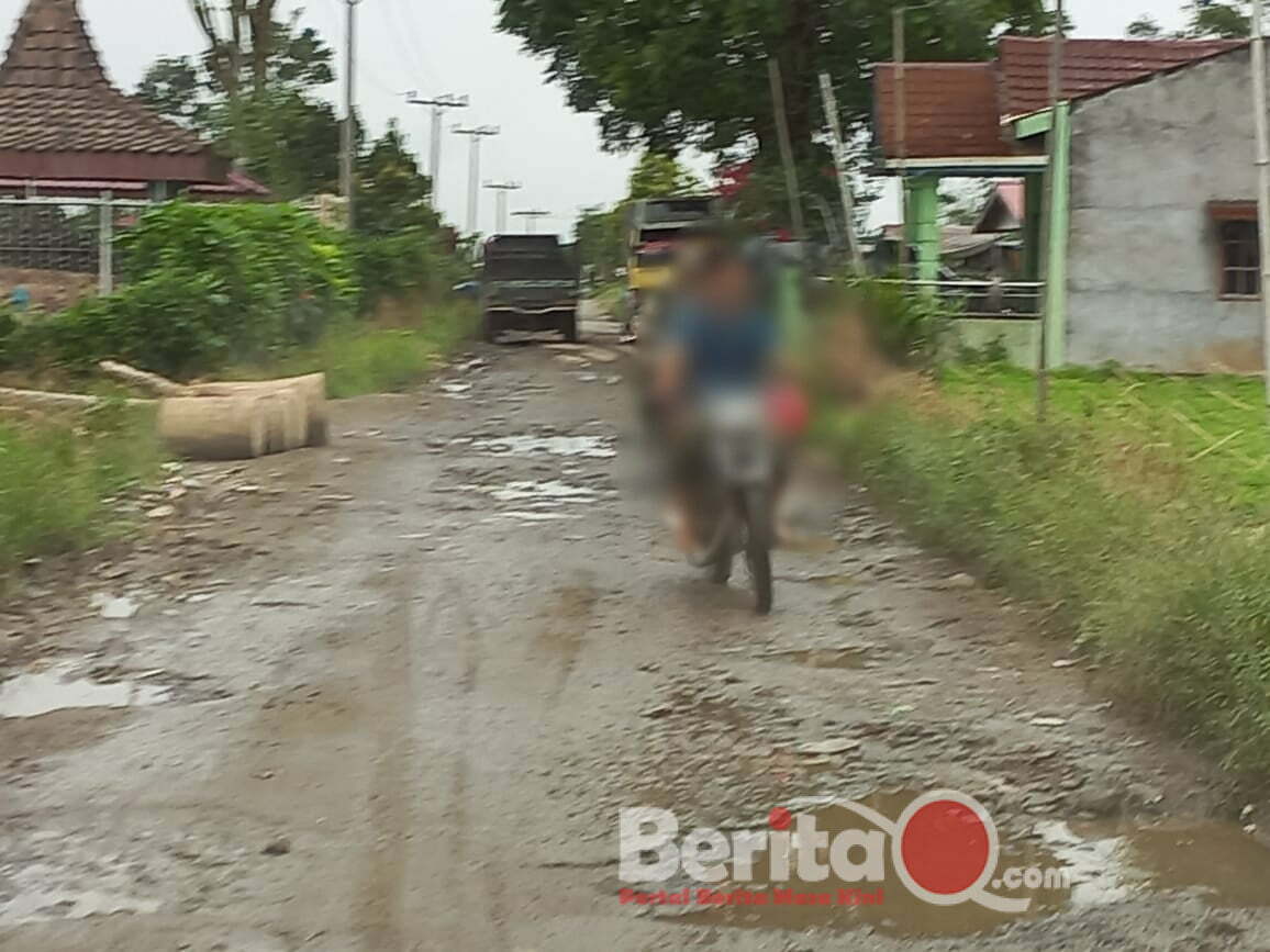 Ket foto: salah satu jalan menuju desa di kecamatan merdeka yang rusak.(doc)