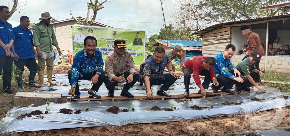 Bupati Melawi H. Dadi Sunarya UY canagkan program GERAMM Dinas Pertanian dan Perikanan (Distankan) Melawi, Kamis (8/12), bertempat di pekarangan kantor Distankan Melawi