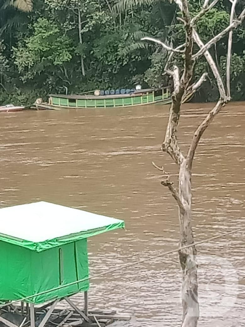 Diduga kapal pengangkut kayu Ulin diamankan Polda Kalbar di perairan Sungai Melawi desa Nanga Nuak Kecamatan Ela Hilir