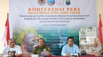 BBKSDA dan Subdit Tipidter Polda Jatim Kembalikan Orangutan Kalimantan