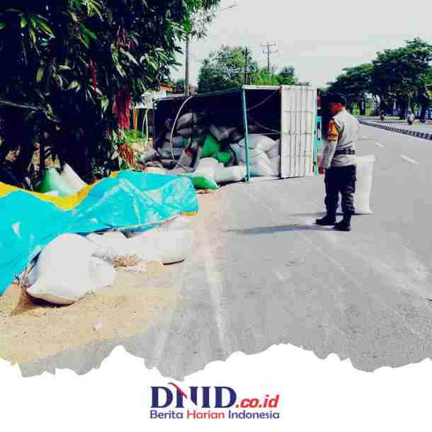 Truk Pengangkut 10 Ton Gabah Terguling di Maros, Ini Penjelasan Sopir